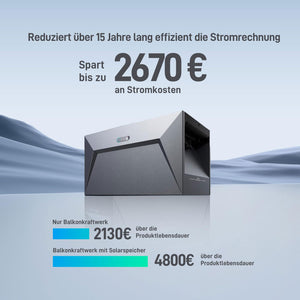 Ergofino Balkonkraftwerk 880W mit 2x440W Bifazialer Glas Solarmodule, Wechselrichter 800W, Kabel