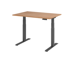 Elektrisch höhenverstellbarer Schreibtisch - Ergofino HBDT63C mit Tischplatte